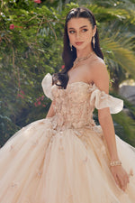 Laraia Hayes (JT1448J)