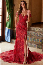 Scarlet Rose...