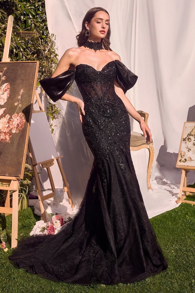 Aviana Cavalli