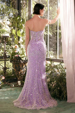 My Lavender Enchantment..