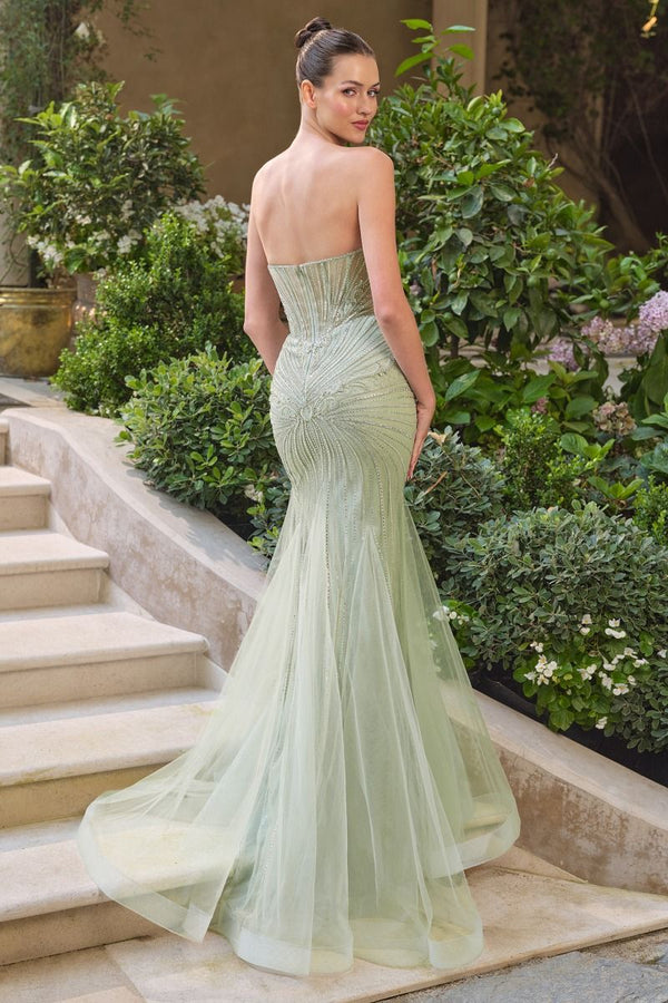 Ciela Vienne