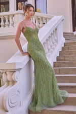 Alina Wren (A1515)