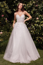 Darea Bennett (C148W)