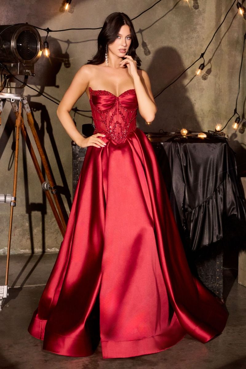 Donatella Darcy