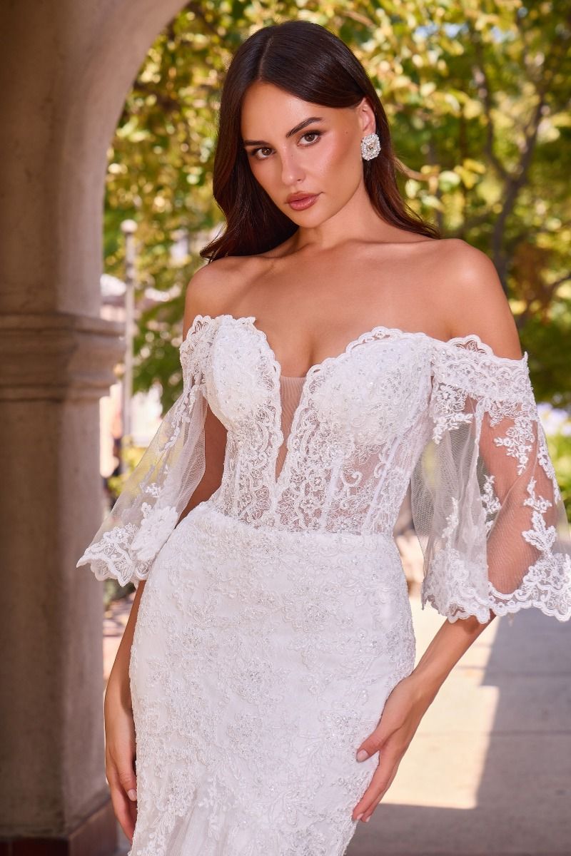 Jolaia Quinn