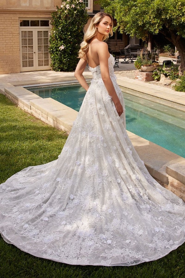 Alessandra Jolie