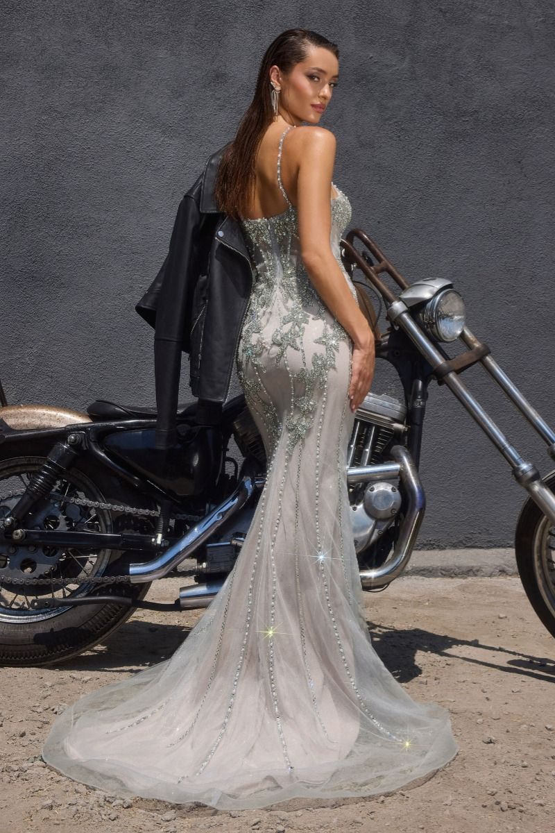 Cassandra Lane