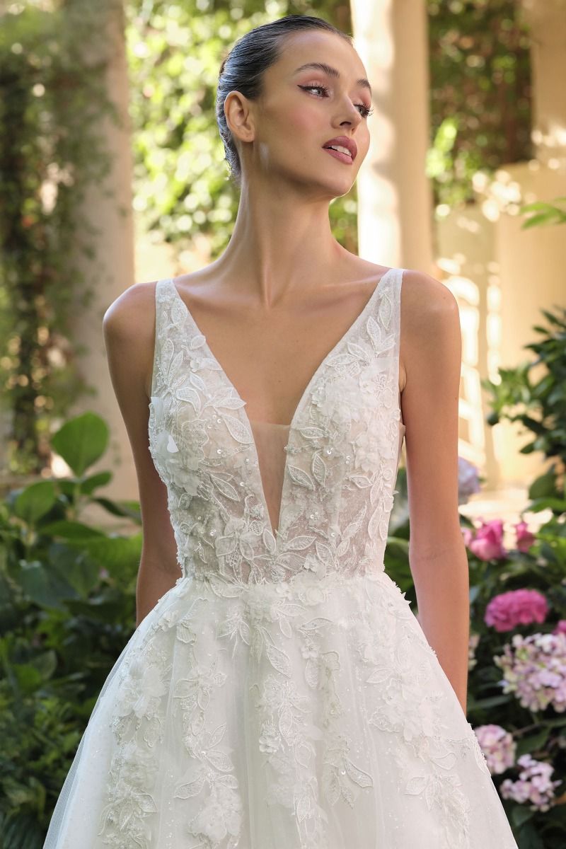Palaia Reese