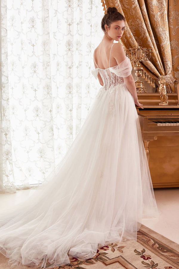 Aerin Delacroix