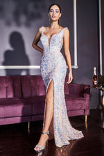 ENCHANTED DREAMS