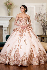 ONCE UPON A TIME BALL GOWN