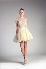 SHOW YOUR SHINE HOMECOMING DRESS
