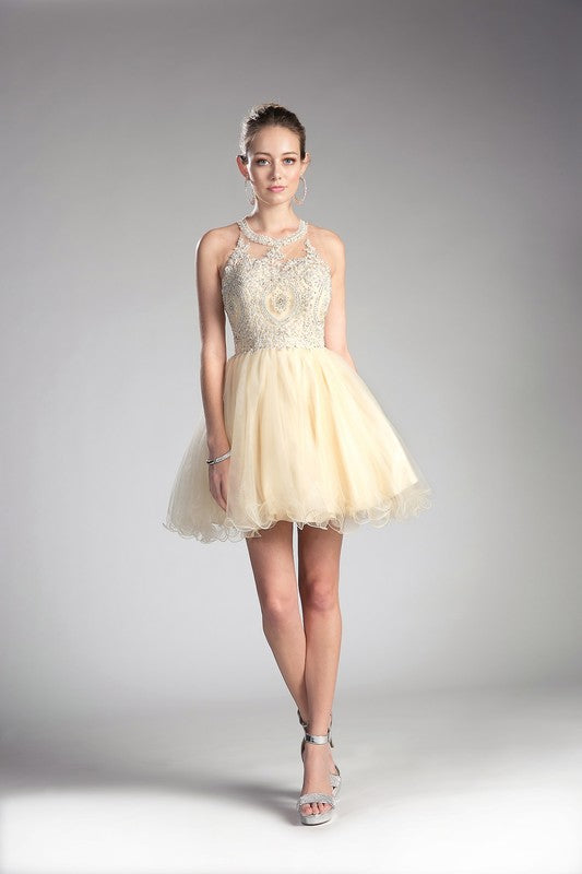 SHOW YOUR SHINE HOMECOMING DRESS