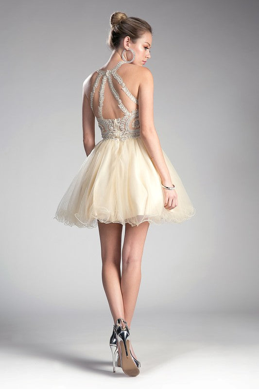 MY KINDA PARTY SHORT DRESSS